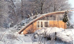 Groengrasdak in de winter