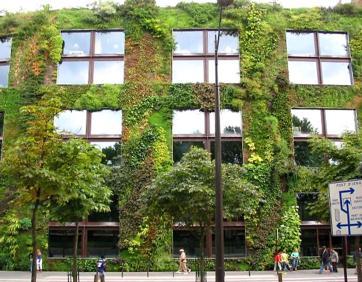 Verticaal beplanten