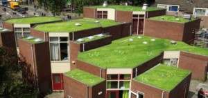 groendak subsidie utrecht