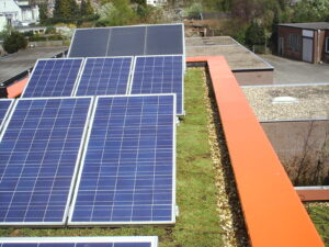zonnepanelen op groendak