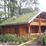 Ben's Dream Hoenderloo