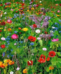 bloementapijt