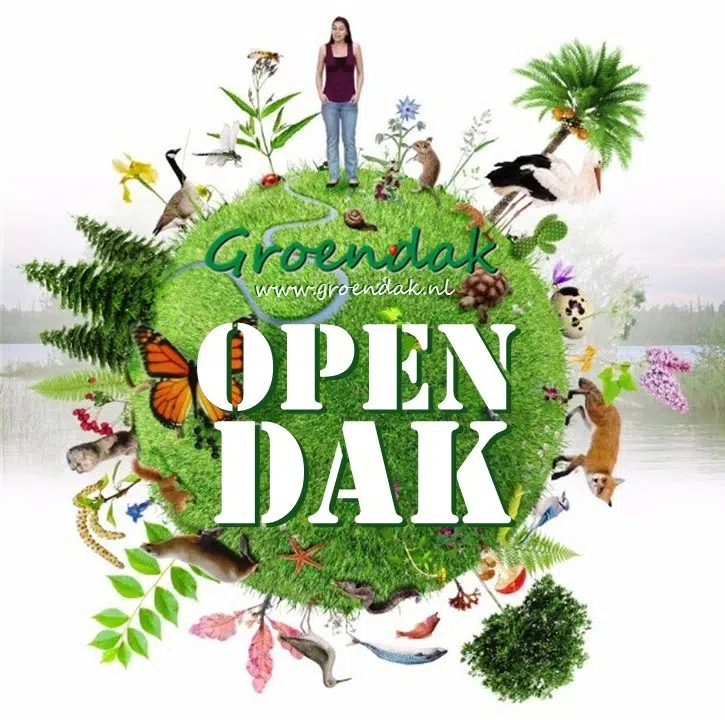 Groendak Open Dak