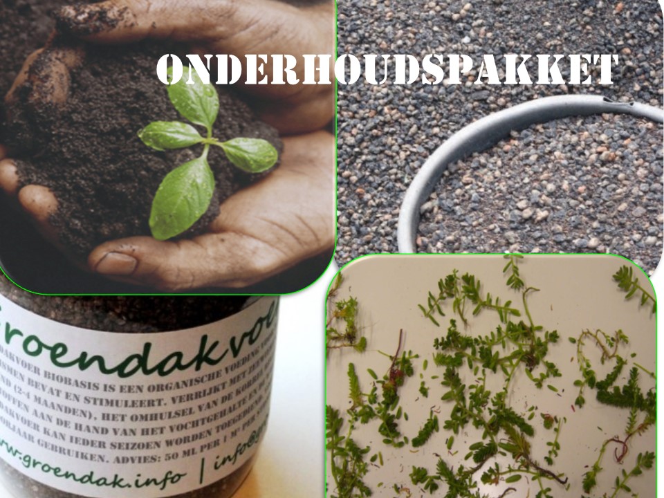 Onderhoudspakket sedum