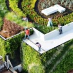 Productcategorie Planten