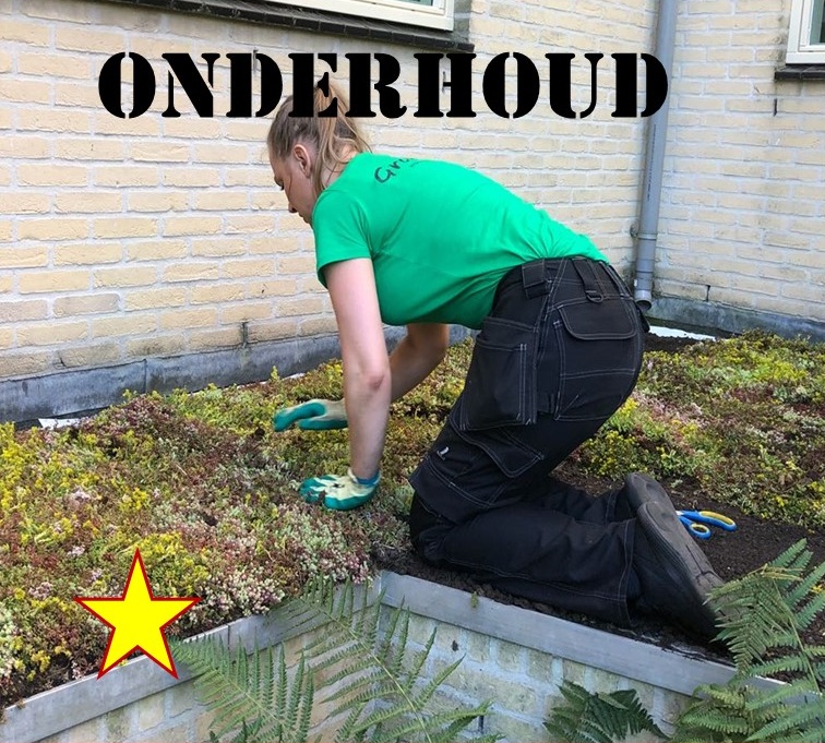 Onderhoud met de buren