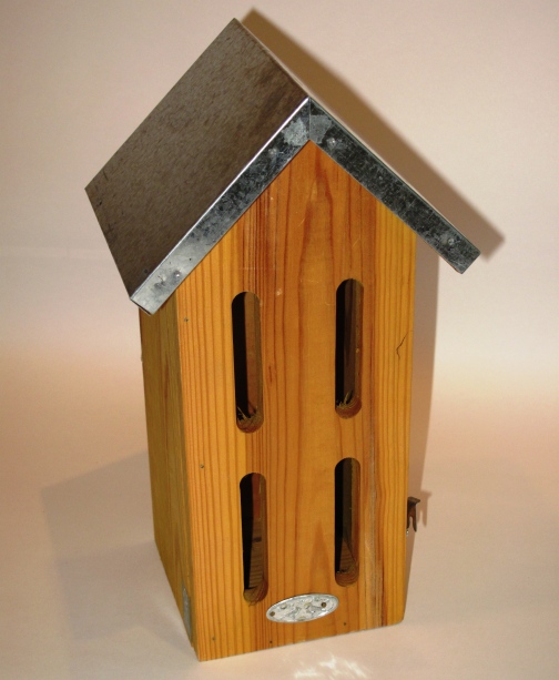 Vlinderkast